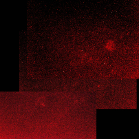 IC1396からクエスチョンマーク星雲パノラマ50mm