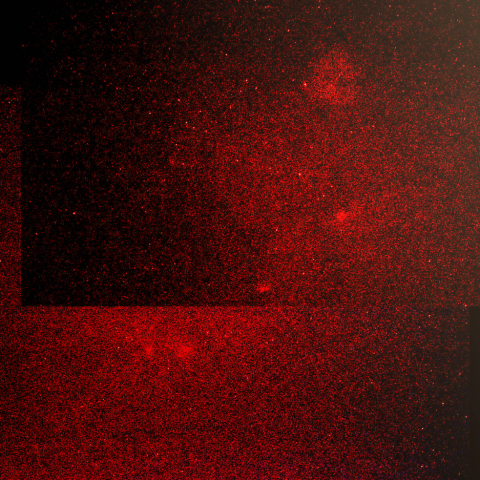 IC1396からクワガタ