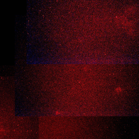 IC1396からバブル星雲