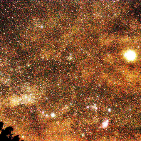 バンビの横顔と土星