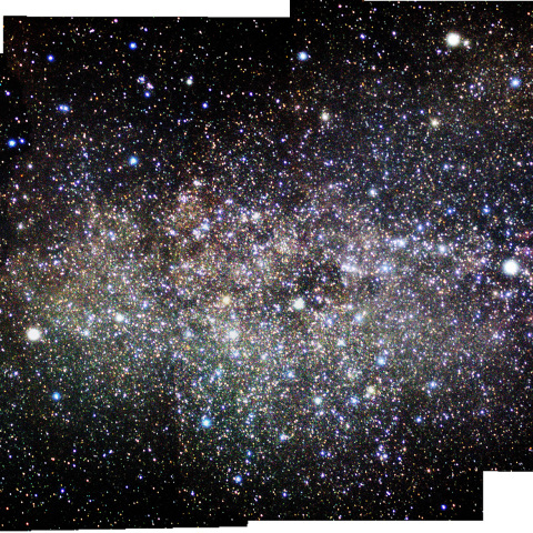 サドルから頭に向かっての周辺