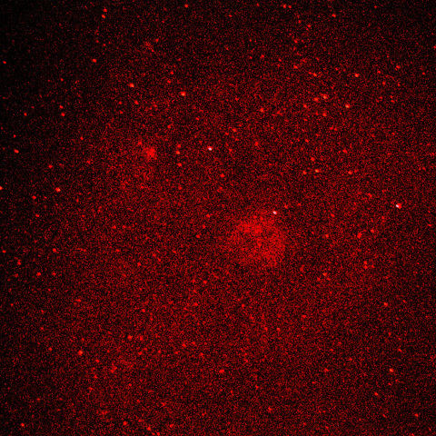 コクーン星雲IC5146