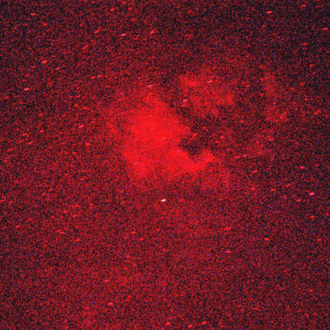 北アメリカ星雲