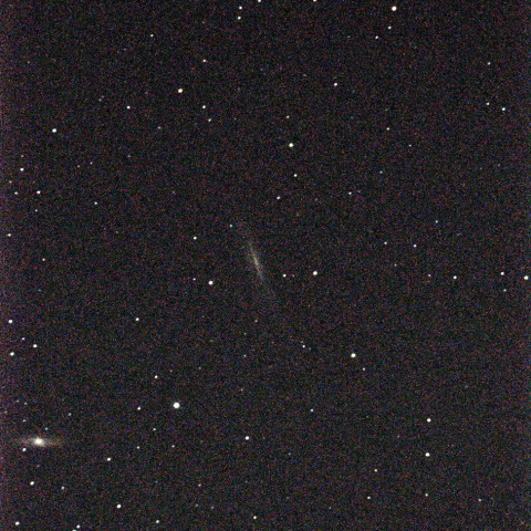 しし座NGC3628とM65