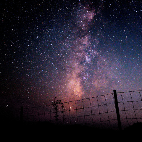 牧場の天の川いて座