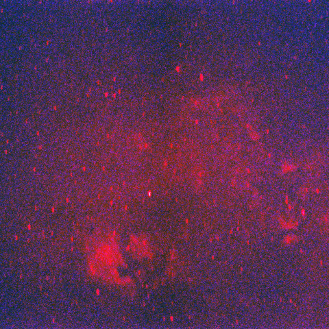 北アメリカ星雲とサドル周辺