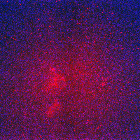 ペルセウス座二重星団とハート、胎児散光星雲