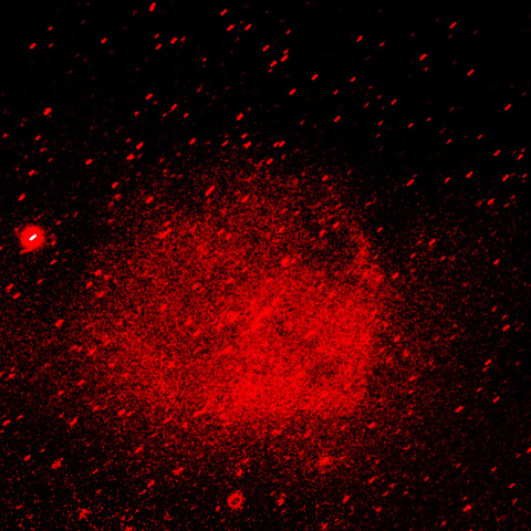 オリオン座エンゼルフィッシュ星雲