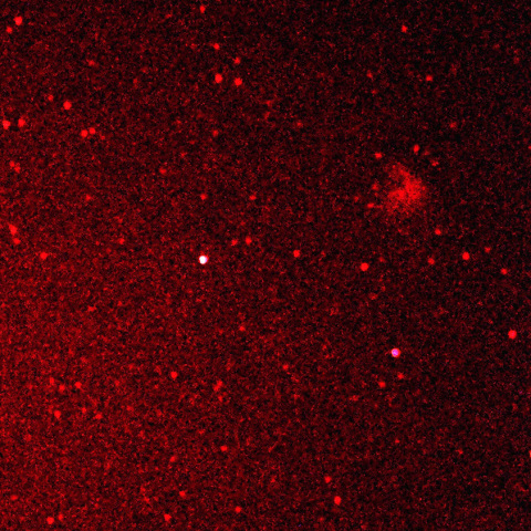 カシオペア座NGC281