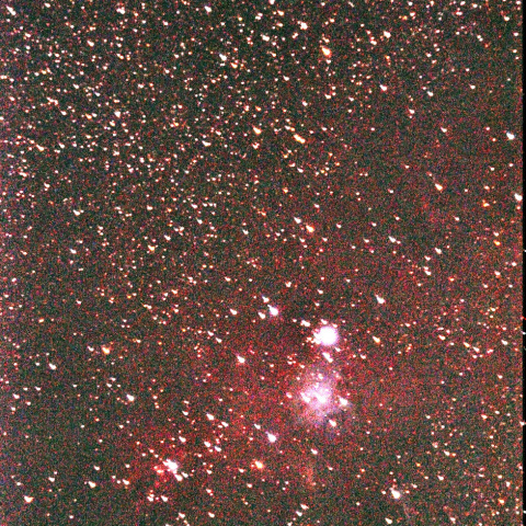 コーン星雲とクリスマスツリー星団