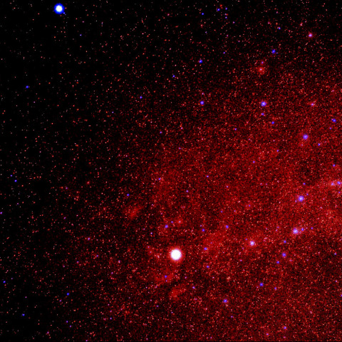 はくちょう座　サドル付近