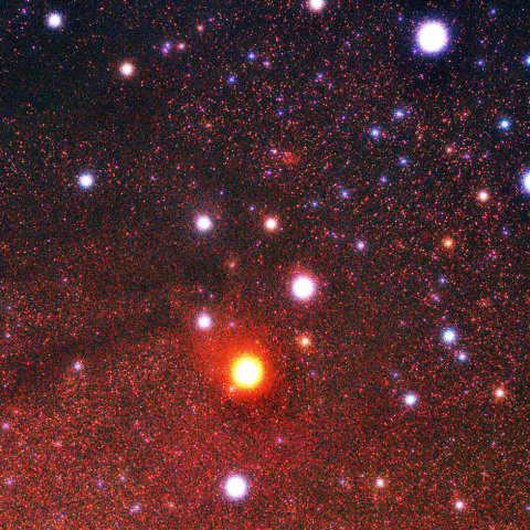 さそり座の頭部