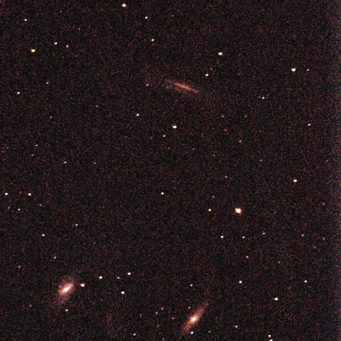 しし座NGC3628 M66 M65