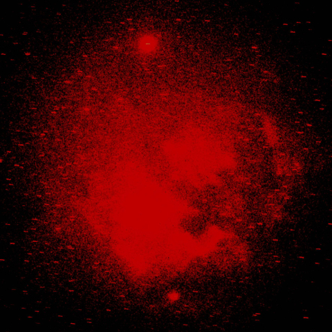 はくちょう座北アメリカ星雲