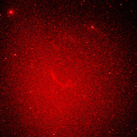 はくちょう座網状星雲