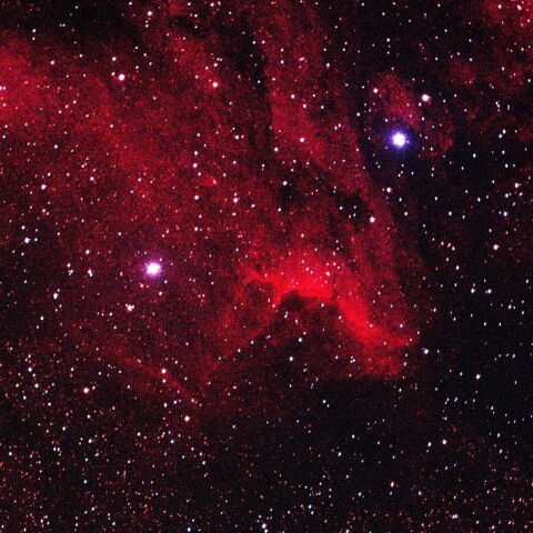 はくちょう座IC5067ペリカン星雲