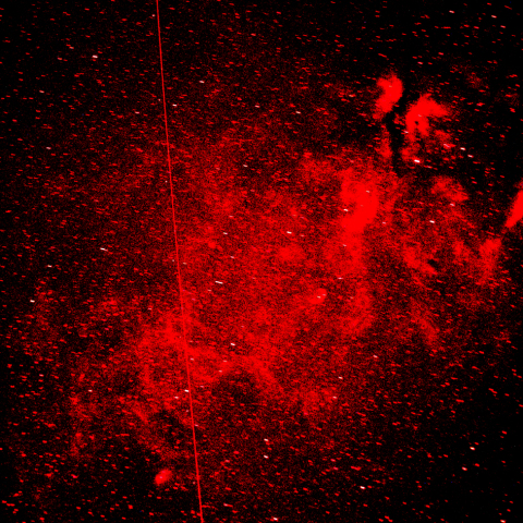 はくちょう座サドル付近