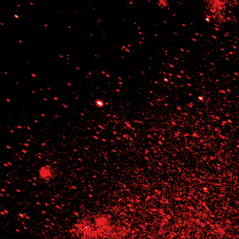 はくちょう座Sh2-112と115