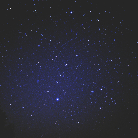 おとめ座とからす座