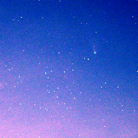 ネオワイズ彗星7/31