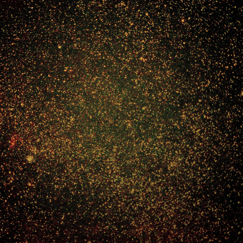 M52とバブル、クワガタ星雲