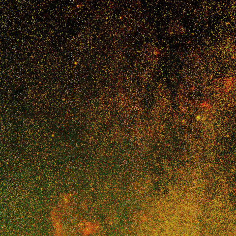 NGC7822からM52、バブル、クワガタ