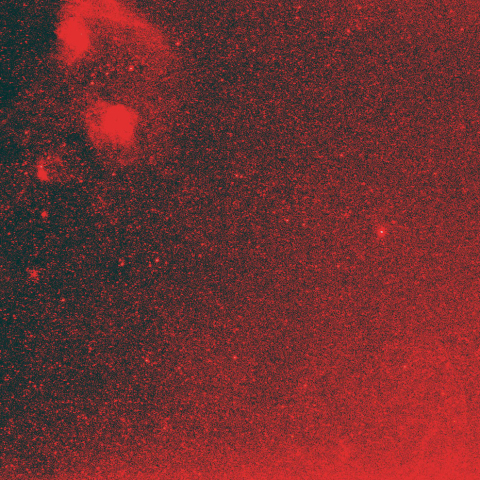 ぎょしゃ座IC405,410とsimeis147