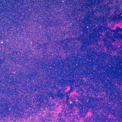 北アメリカ、サドル,　網状星雲