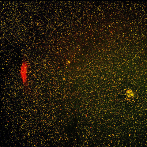 カリフォルニア星雲とスバル