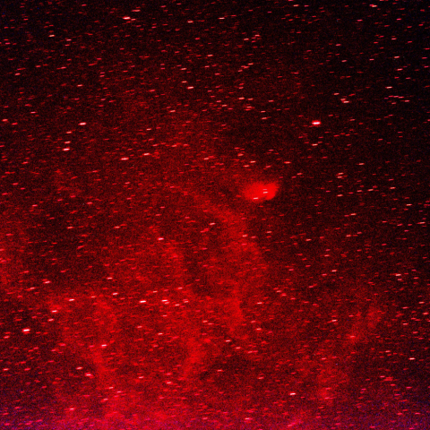 チューリップ星雲