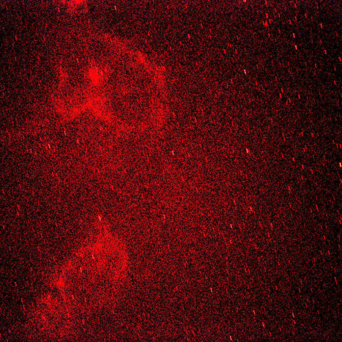 ハート星雲とソウル星雲