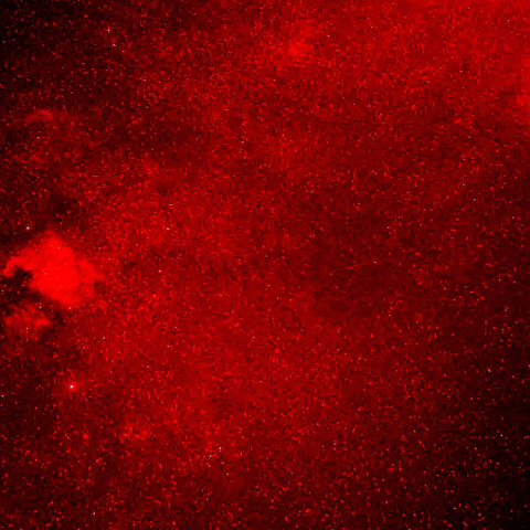 北アメリカ星雲からIC1396