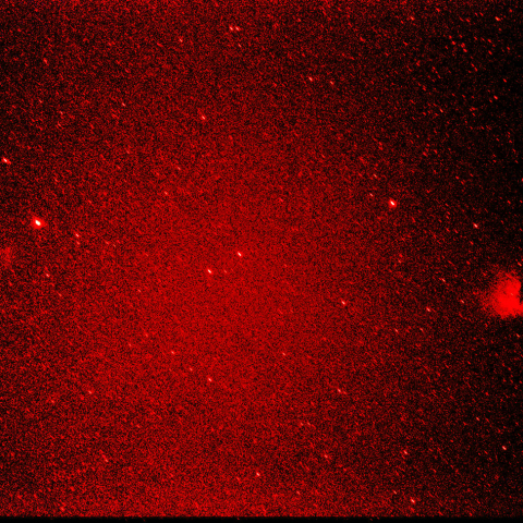 IC59, 63とパックマン星雲