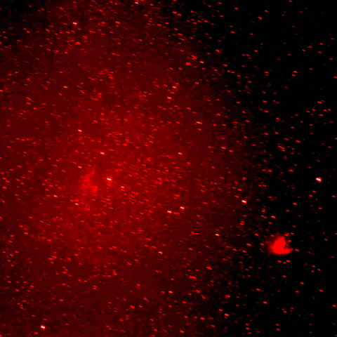 IC59, 63とパックマン星雲