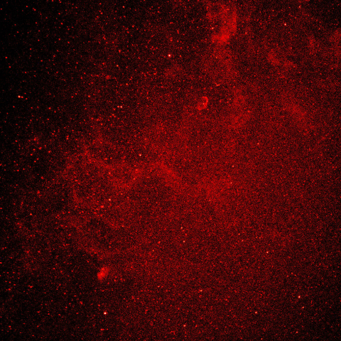 三日月、チューリップ星雲