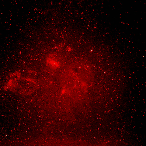 クワガタ、バブル、M52