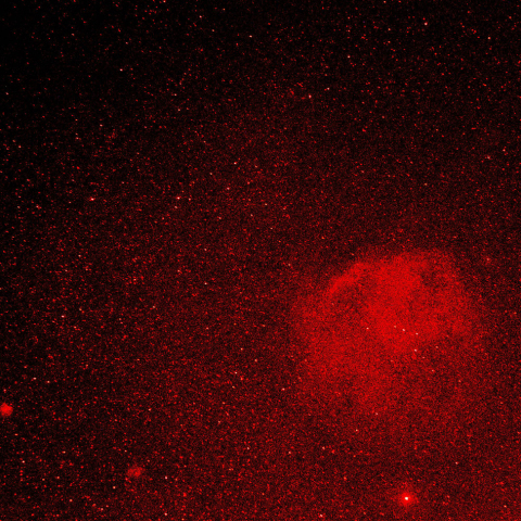 モンキー星雲、Sh2-261、エンゼルフィッシュ。