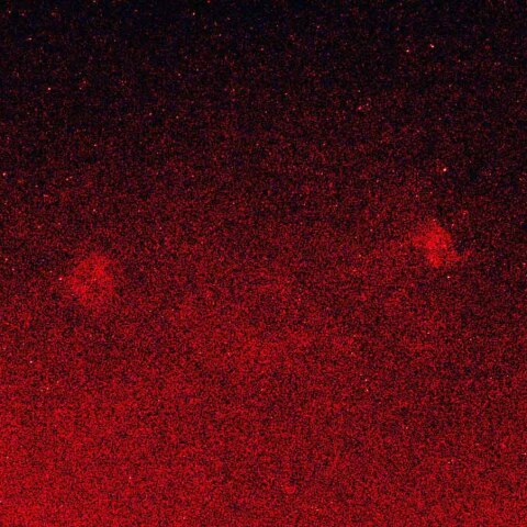 IC1396と北アメリカ星雲