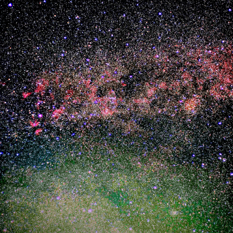 サドルから白鳥頭部