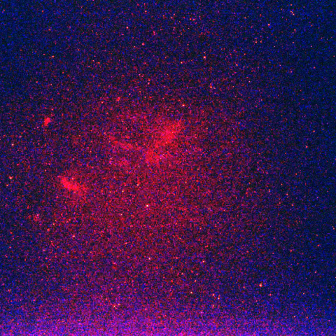 バブル、クワガタ星雲