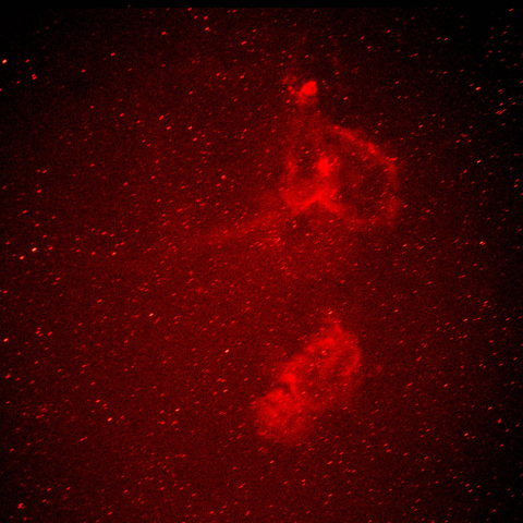 ハート、ソウル星雲