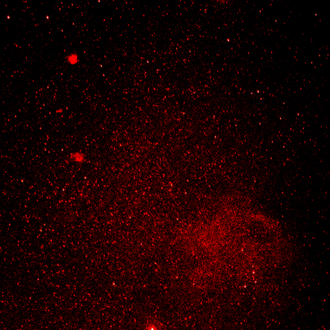 モンキー、sh2-254, sh2-261, エンゼルフィッシュ