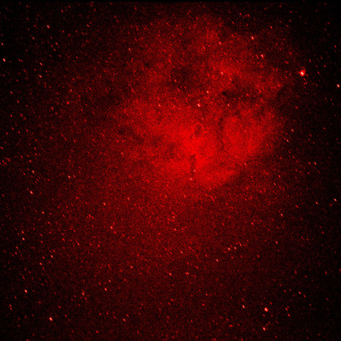 IC1396