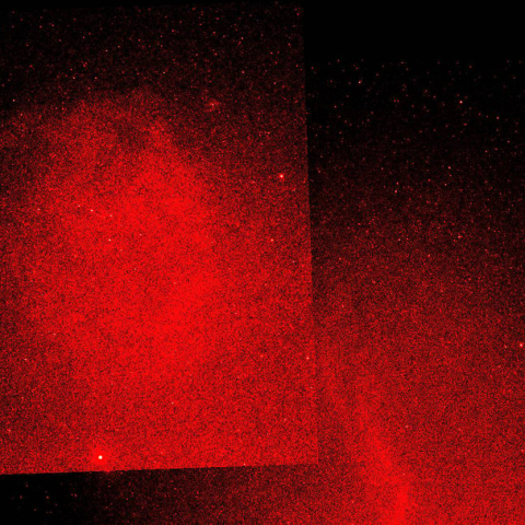 エンゼルフィッシュから馬頭星雲