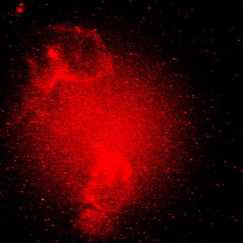 ハート、ソウル星雲