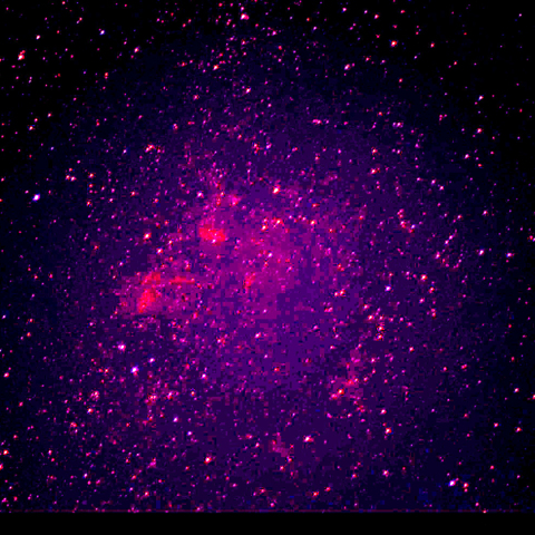 M52,バブル、クワガタ。