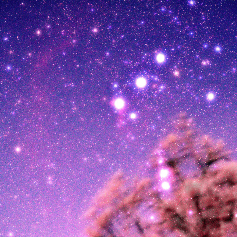 バーナードループと馬頭星雲