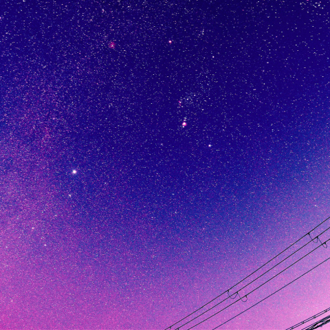 オリオン座とおおいぬ座