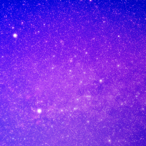 白鳥座サドル周辺