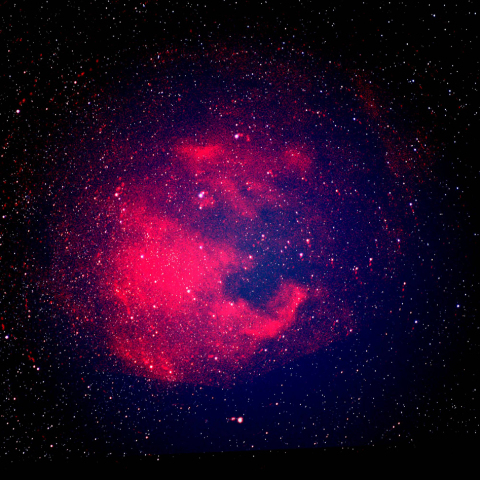 白鳥座北アメリカ星雲